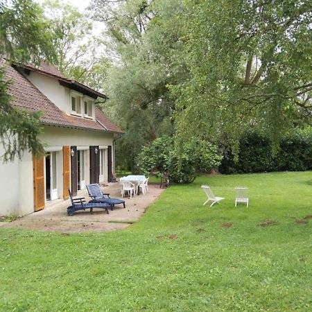 Villa - Coulommiers - Parcs Des Felins - Provins Beautheil-Saints エクステリア 写真