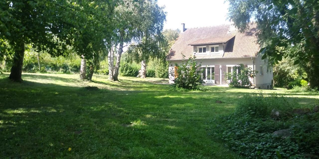 Villa - Coulommiers - Parcs Des Felins - Provins Beautheil-Saints エクステリア 写真