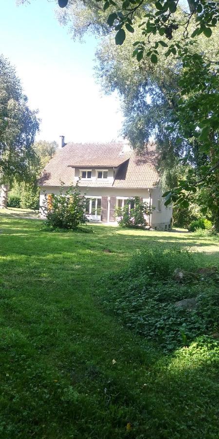 Villa - Coulommiers - Parcs Des Felins - Provins Beautheil-Saints エクステリア 写真