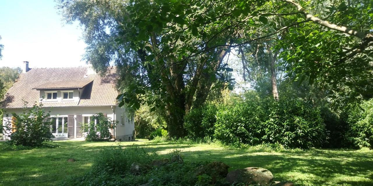 Villa - Coulommiers - Parcs Des Felins - Provins Beautheil-Saints エクステリア 写真