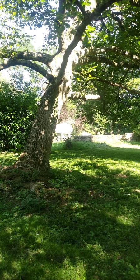 Villa - Coulommiers - Parcs Des Felins - Provins Beautheil-Saints エクステリア 写真