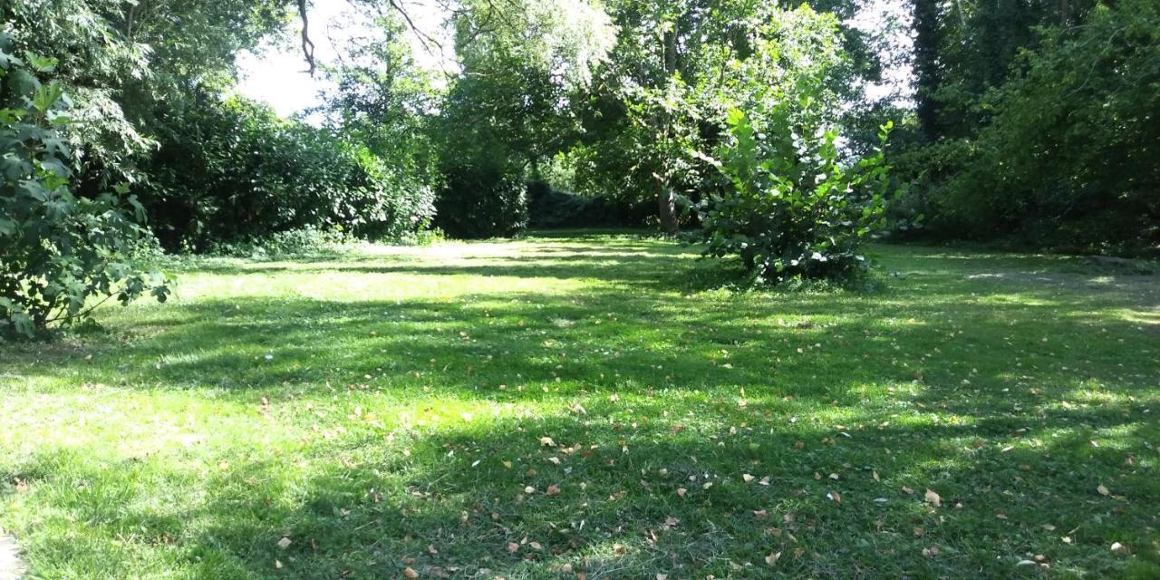 Villa - Coulommiers - Parcs Des Felins - Provins Beautheil-Saints エクステリア 写真