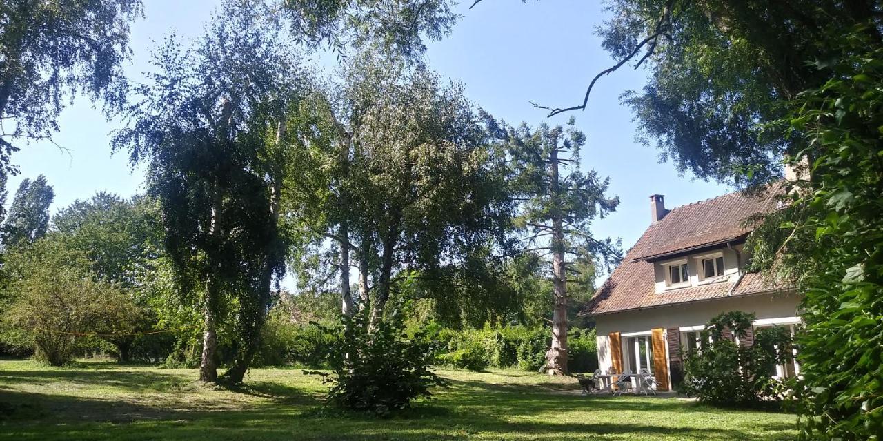 Villa - Coulommiers - Parcs Des Felins - Provins Beautheil-Saints エクステリア 写真