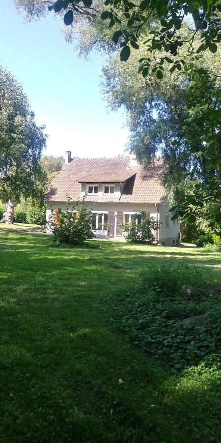 Villa - Coulommiers - Parcs Des Felins - Provins Beautheil-Saints エクステリア 写真