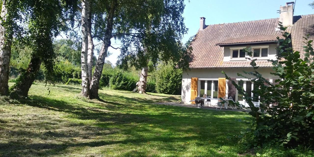 Villa - Coulommiers - Parcs Des Felins - Provins Beautheil-Saints エクステリア 写真