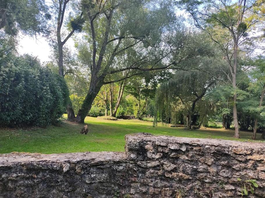 Villa - Coulommiers - Parcs Des Felins - Provins Beautheil-Saints エクステリア 写真