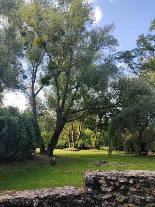Villa - Coulommiers - Parcs Des Felins - Provins Beautheil-Saints エクステリア 写真